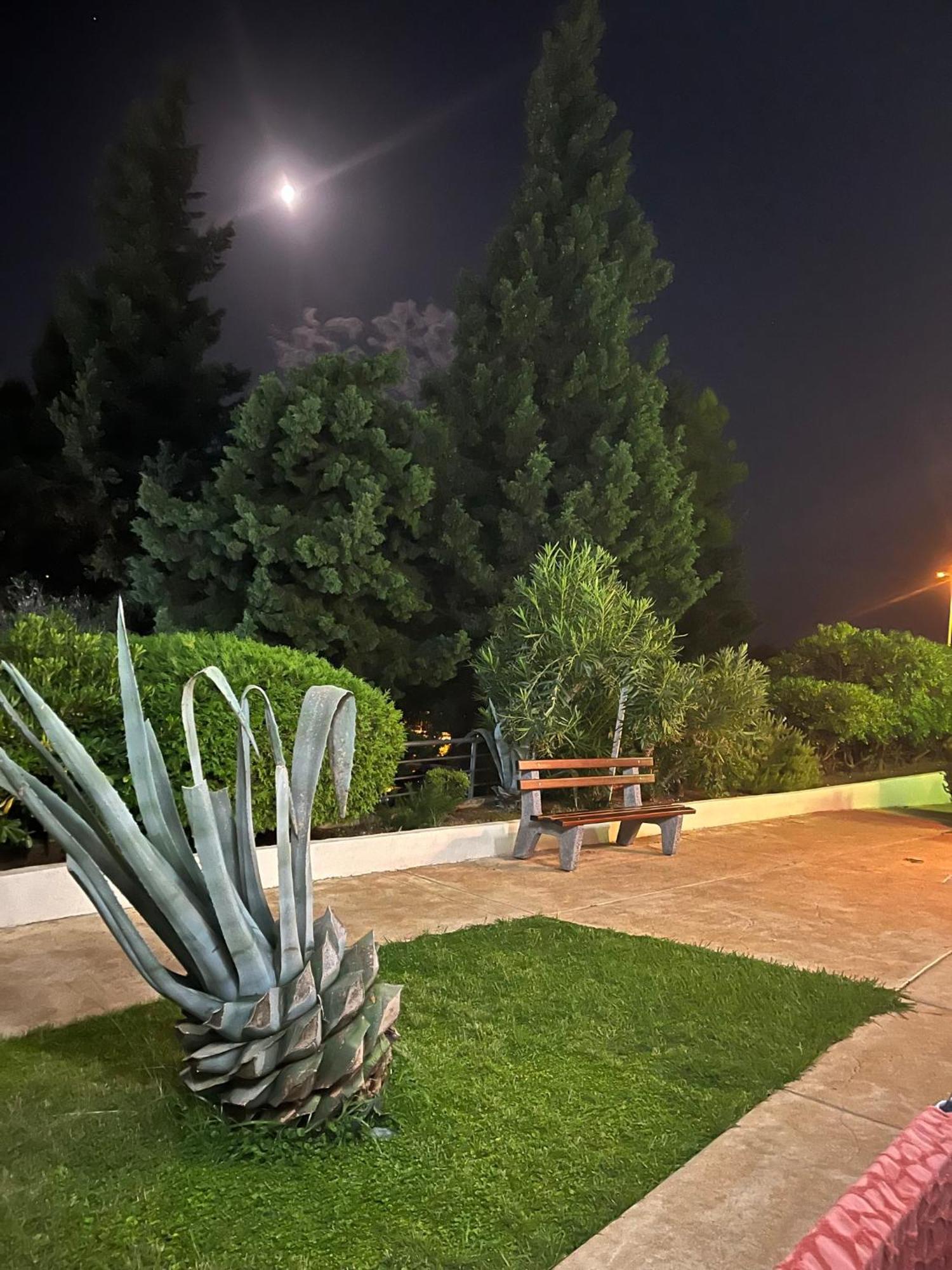 Adriatic Apartman Bečići 外观 照片